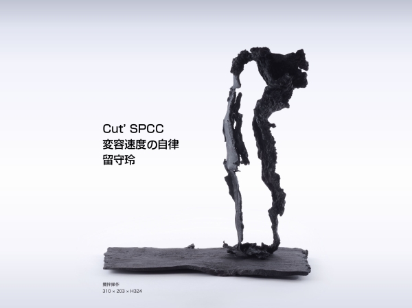 Cut’ SPCC Rusu Aki Exhibition